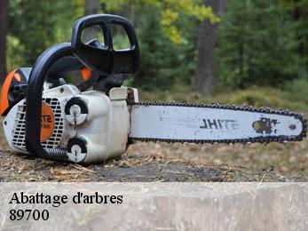 Abattage d'arbres 89700