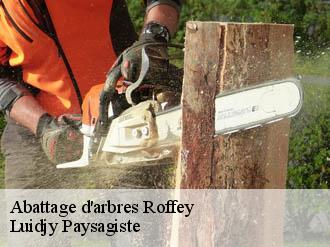 Abattage d'arbres roffey-89700 Lobry elagage 89