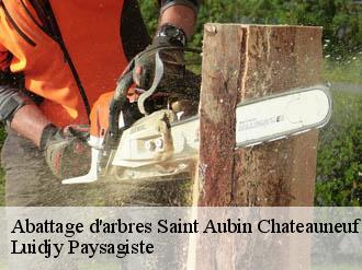 Abattage d'arbres saint-aubin-chateauneuf-89110 Luidjy Paysagiste