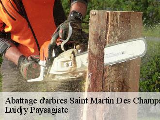 Abattage d'arbres saint-martin-des-champs-89170 Lobry elagage 89