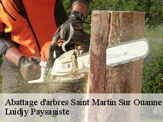 Abattage d'arbres  saint-martin-sur-ouanne-89120 Lobry elagage 89