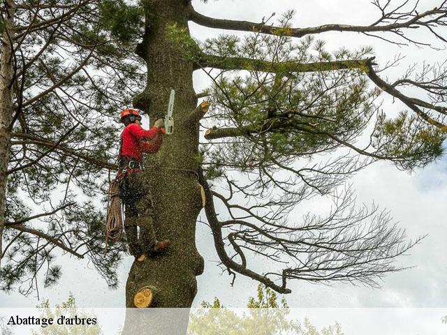 Abattage d'arbres