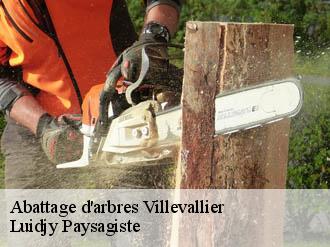 Abattage d'arbres villevallier-89330 Lobry elagage 89