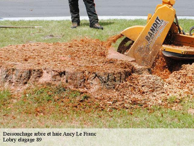 Dessouchage arbre et haie  ancy-le-franc-89160 Lobry elagage 89