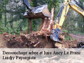 Dessouchage arbre et haie  ancy-le-franc-89160 Lobry elagage 89