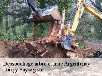 Dessouchage arbre et haie  argentenay-89160 Lobry elagage 89