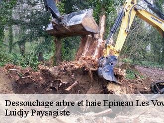 Dessouchage arbre et haie  epineau-les-voves-89400 Lobry elagage 89