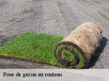 Pose de gazon en rouleau