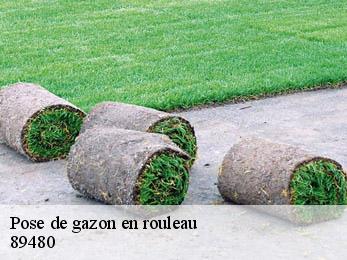 Pose de gazon en rouleau 89480