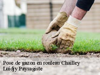 Pose de gazon en rouleau  chailley-89770 Lobry elagage 89