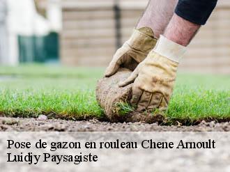 Pose de gazon en rouleau chene-arnoult-89120 Lobry elagage 89