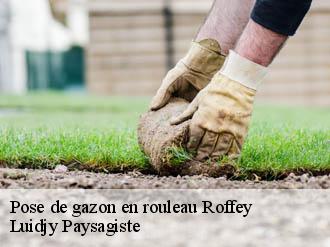 Pose de gazon en rouleau roffey-89700 Lobry elagage 89