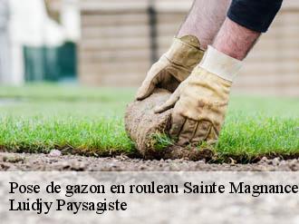 Pose de gazon en rouleau sainte-magnance-89420 Lobry elagage 89