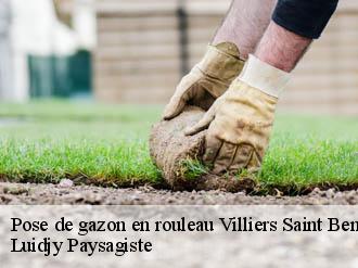 Pose de gazon en rouleau villiers-saint-benoit-89130 Lobry elagage 89