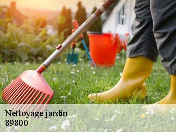 Nettoyage jardin   89800