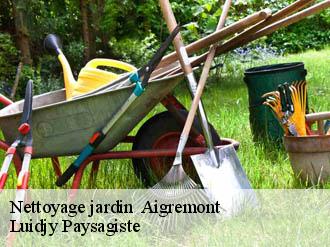 Nettoyage jardin   aigremont-89800 Lobry elagage 89