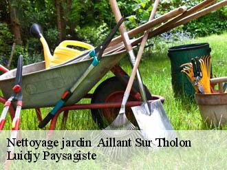 Nettoyage jardin   aillant-sur-tholon-89110 Lobry elagage 89