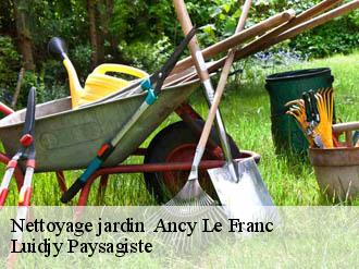 Nettoyage jardin   ancy-le-franc-89160 Lobry elagage 89