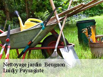 Nettoyage jardin beugnon-89570 Luidjy Paysagiste
