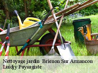 Nettoyage jardin brienon-sur-armancon-89210 Lobry elagage 89