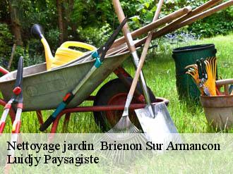 Nettoyage jardin   brienon-sur-armancon-89210 Lobry elagage 89