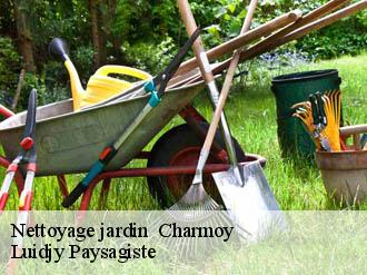 Nettoyage jardin   charmoy-89400 Lobry elagage 89