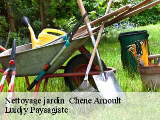 Nettoyage jardin   chene-arnoult-89120 Lobry elagage 89