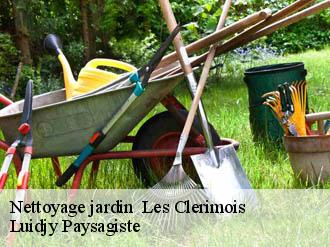 Nettoyage jardin les-clerimois-89190 Lobry elagage 89