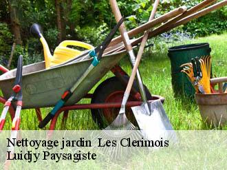 Nettoyage jardin   les-clerimois-89190 Lobry elagage 89