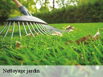 Nettoyage jardin
