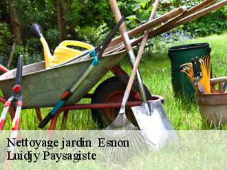Nettoyage jardin esnon-89210 Lobry elagage 89