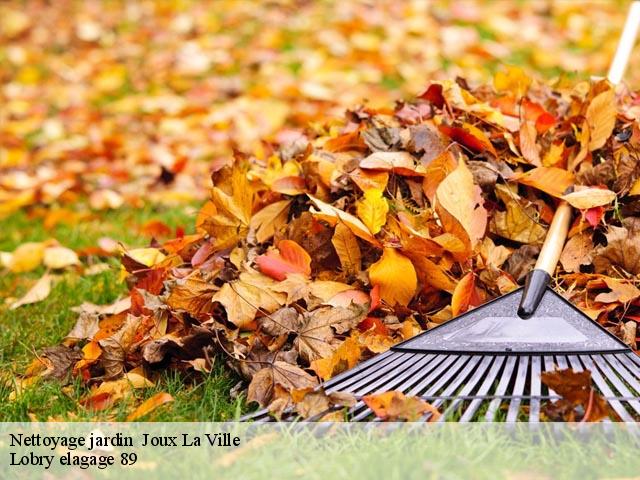Nettoyage jardin   joux-la-ville-89440 Lobry elagage 89