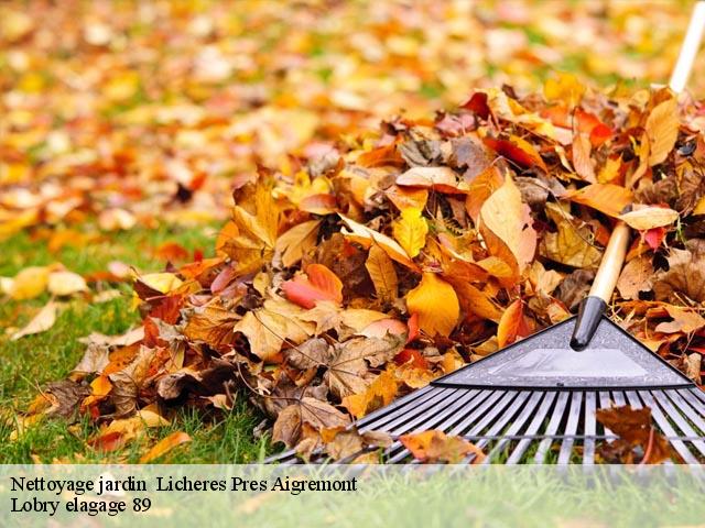 Nettoyage jardin   licheres-pres-aigremont-89800 Lobry elagage 89