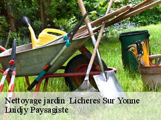 Nettoyage jardin licheres-sur-yonne-89660 Lobry elagage 89