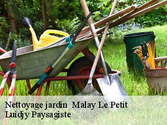 Nettoyage jardin malay-le-petit-89100 Luidjy Paysagiste