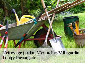 Nettoyage jardin montacher-villegardin-89150 Lobry elagage 89