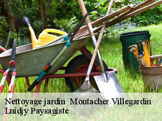 Nettoyage jardin   montacher-villegardin-89150 Lobry elagage 89