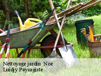 Nettoyage jardin noe-89760 Luidjy Paysagiste