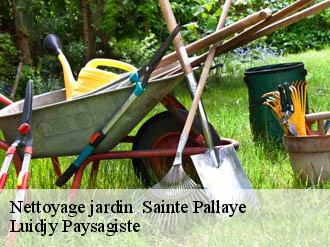 Nettoyage jardin sainte-pallaye-89460 Lobry elagage 89