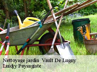 Nettoyage jardin vault-de-lugny-89200 Lobry elagage 89